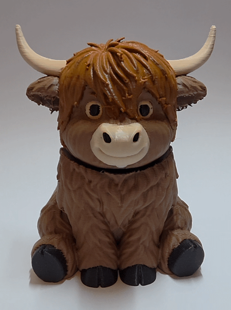 Highland Cow